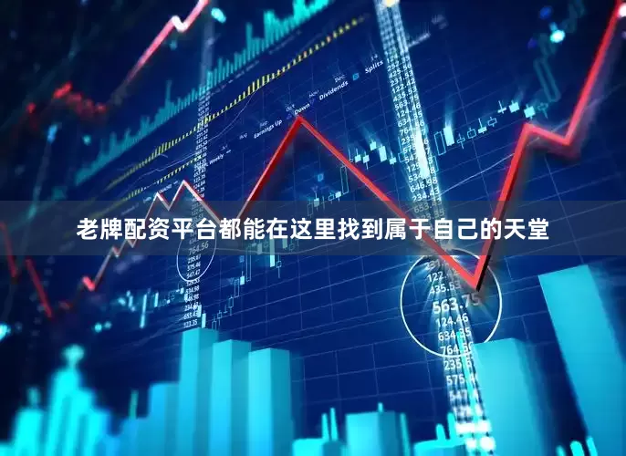老牌配资平台都能在这里找到属于自己的天堂