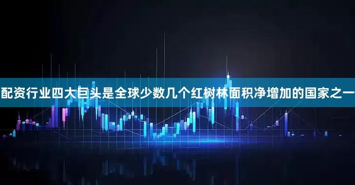 配资行业四大巨头是全球少数几个红树林面积净增加的国家之一