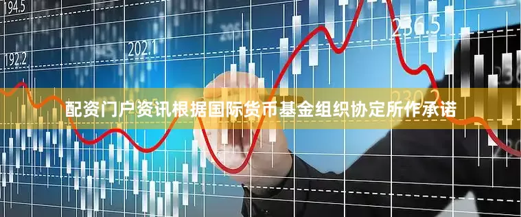 配资门户资讯根据国际货币基金组织协定所作承诺